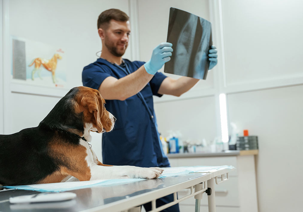 Radiology and Diagnostics